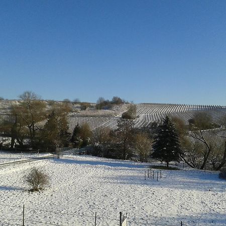 ハッテンハイムWeingut Hans Bauschアパートメント エクステリア 写真